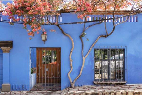 Casas en venta en Querétaro; Casa colonial en color azul con árbol de flores rosadas al frente