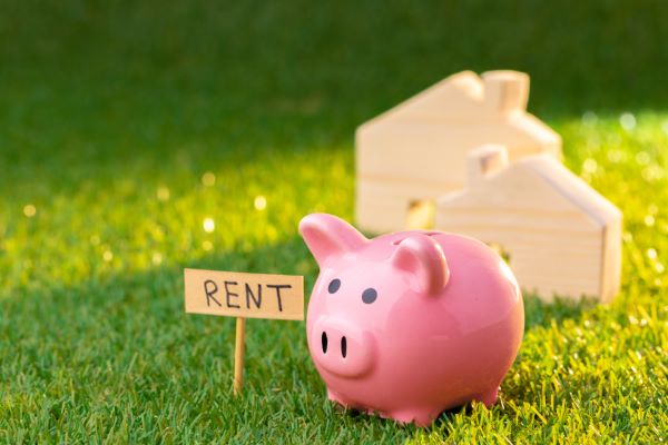 Casas en venta en Metepec; puerquito rosa con pasto